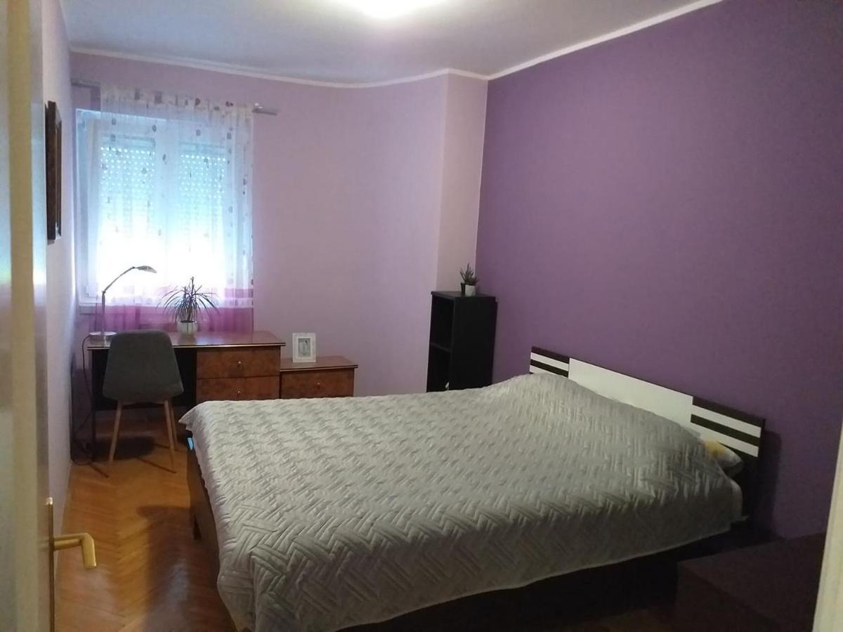 Apartment City Center Nowy Sad Zewnętrze zdjęcie